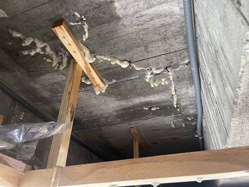 ������u�{