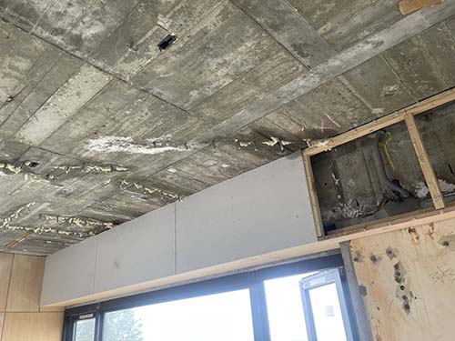 ������u�{