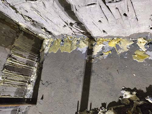 ������u�{