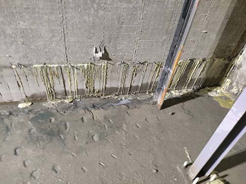 ������u�{