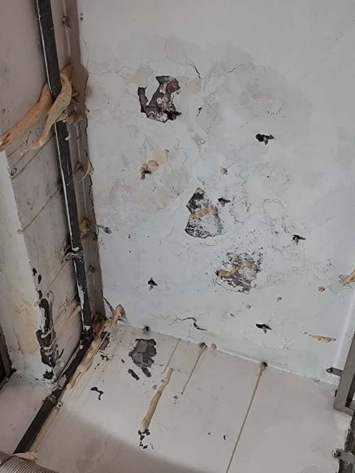 ������u�{