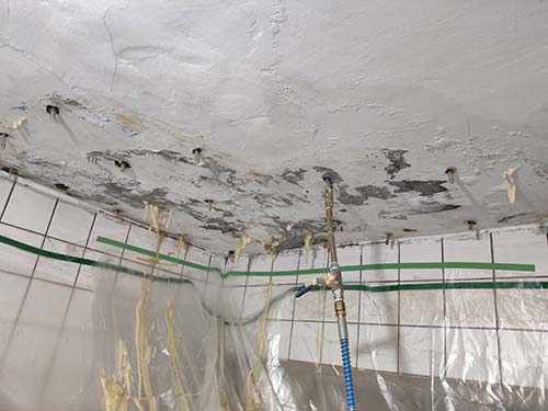 ������u�{