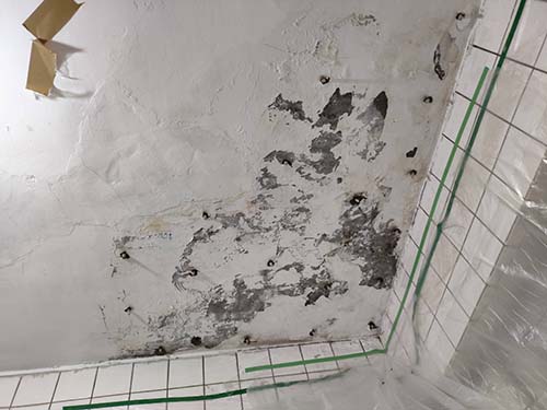 ������u�{