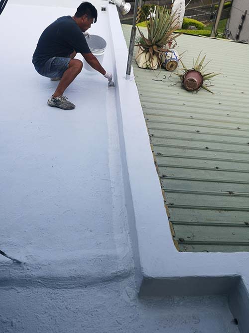 ���γ�����