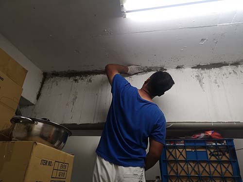 ������u�{